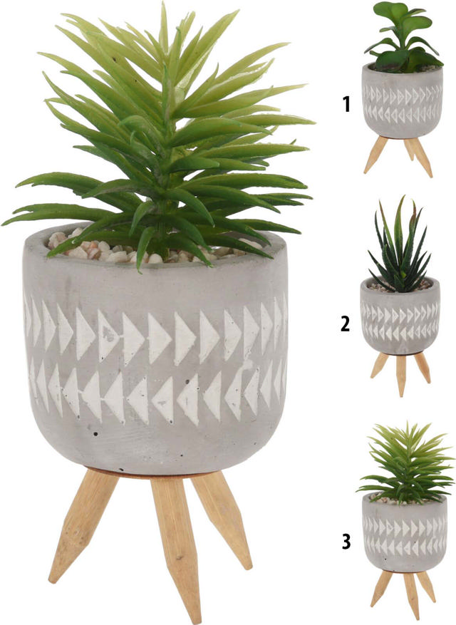 PLANT IN POT CEMENT 8X8X16CM 3 ΔΙΑΦΟΡΕΤΙΚΑ ΣΧΕΔΙΑ