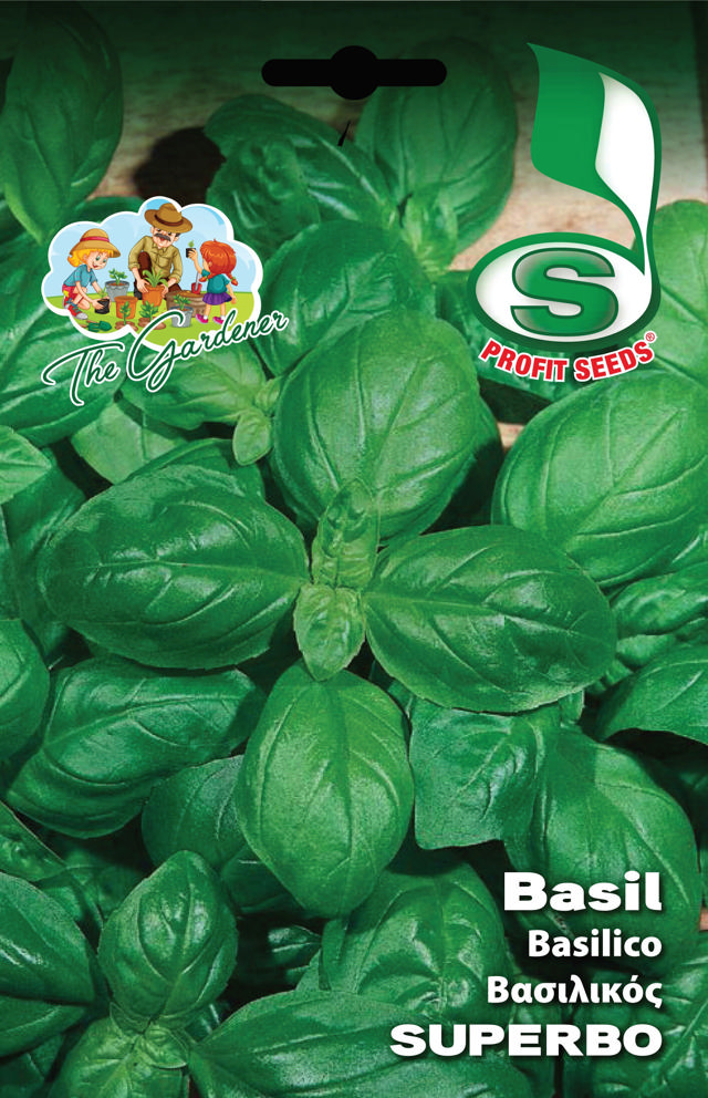 BASIL SUPERBO 5GR