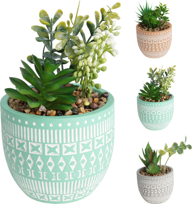 PLANT IN CEMENT POT 15CM 3 ΔΙΑΦΟΡΕΤΙΚΑ ΣΧΕΔΙΑ