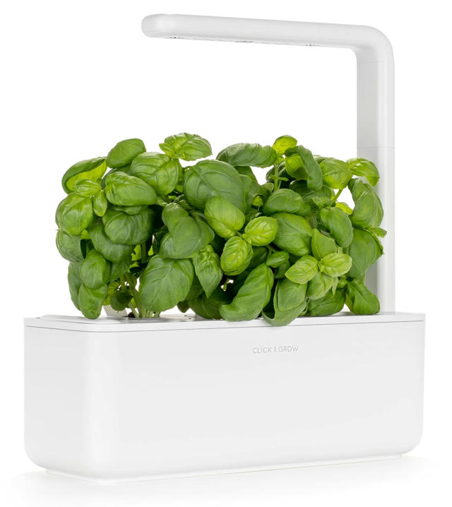 CLICK & GROW SGS1UNI SMART GARDEN 3 STARTER KIT WITH 3 BASIL PODS 30X12CM WHITE