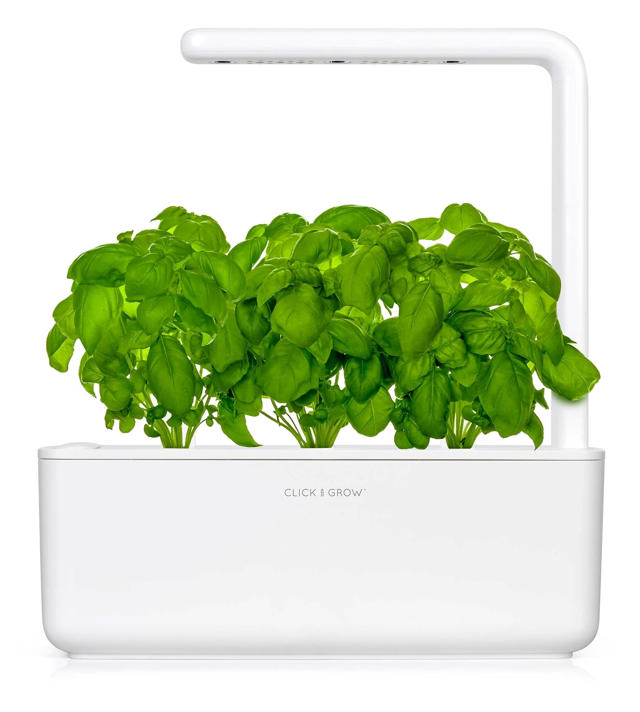 CLICK & GROW SGS1UNI SMART GARDEN 3 STARTER KIT WITH 3 BASIL PODS 30X12CM WHITE