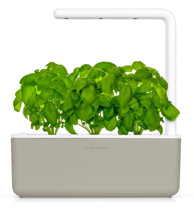 CLICK & GROW SGS7UNI SMART GARDEN 3 STARTER KIT ΜΕ 3 ΣΠΟΡΟΥΣ ΒΑΣΙΛΙΚΟΥ 30Χ12CM ΜΠΕΖ