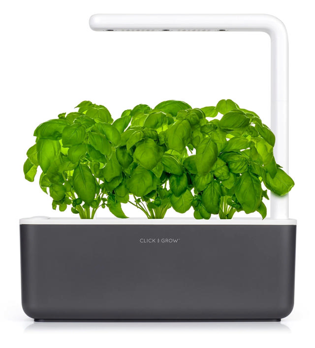 CLICK & GROW SGS8UNI SMART GARDEN 3 STARTER KIT WITH 3 BASIL PODS 30X12CM DARK GREY