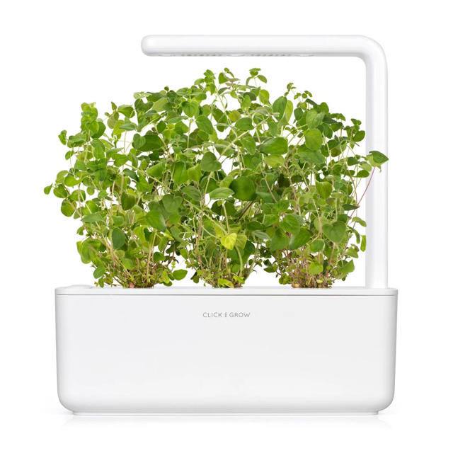 CLICK & GROW SGR31X3 OREGANO PLANT PODS 3PCS