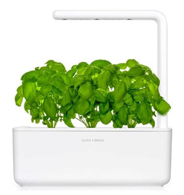 CLICK & GROW SGR3X3 BASIL PLANT PODS 3PCS