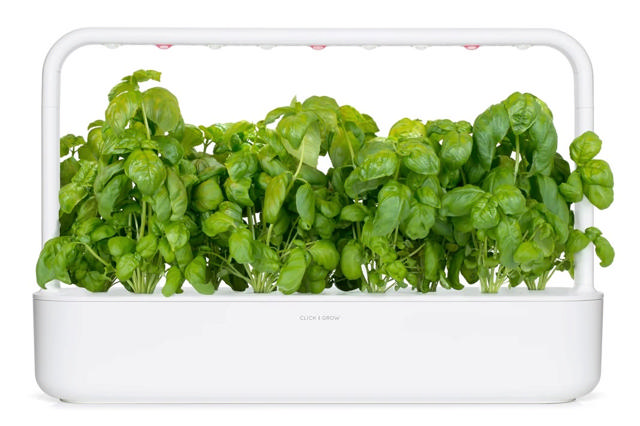 CLICK & GROW SGR3X3 BASIL PLANT PODS 3PCS