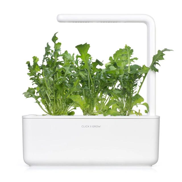 CLICK & GROW SGR19X3 ARUGULA PLANT PODS 3PCS