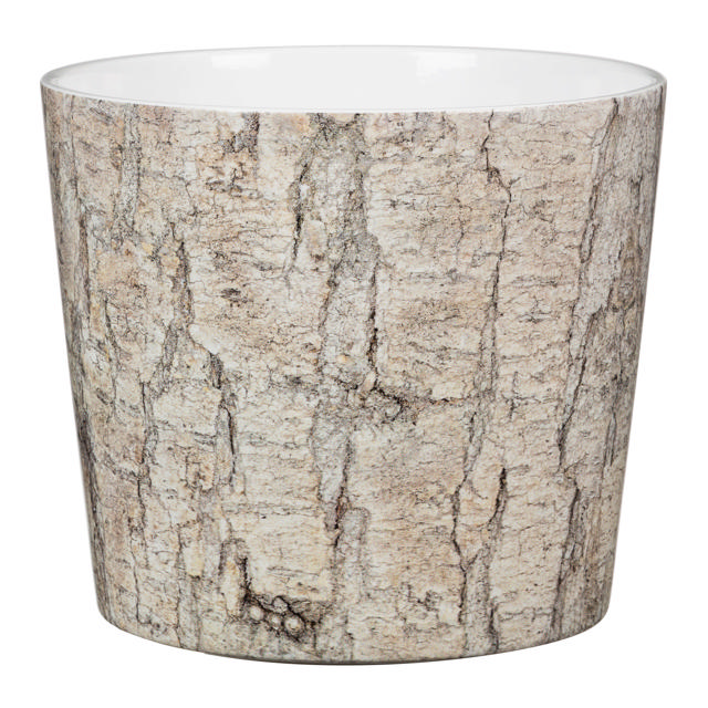 SCHEURICH CERAMIC POT 21-ALBERO