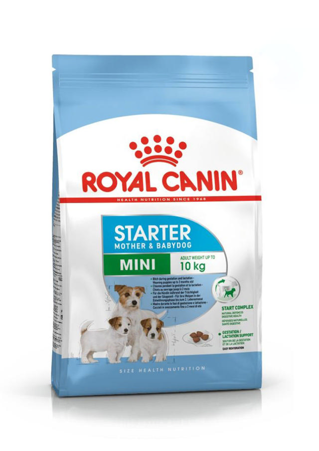 ROYAL CANIN SHN MINI STARTER M&B 4KG