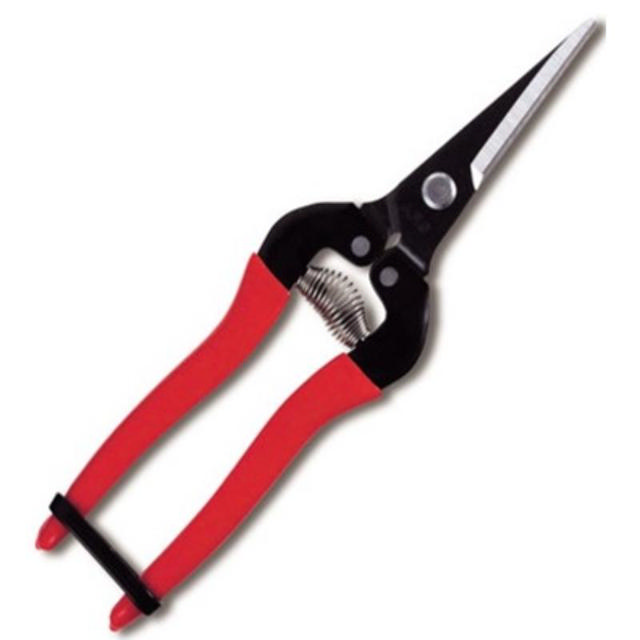 SUPER GRAPE STRAIGHT PRUNER 7,5 