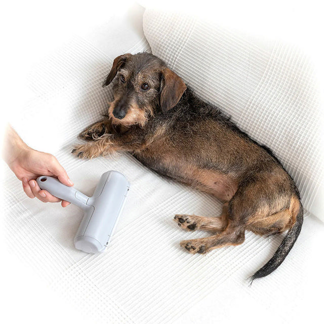 INNOVAGOODS PET HAIR REMOVER ROLLER