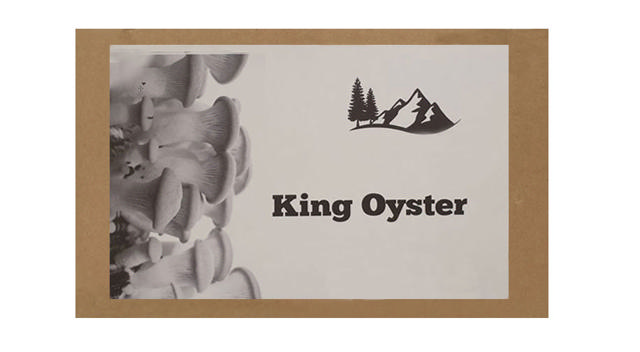 KING OYSTER BOX ΚΑΛΛΙΕΡΓΕΙΑ ΜΑΝΙΤΑΡΙΩΝ ΣΤΟ ΣΠΙΤΙ