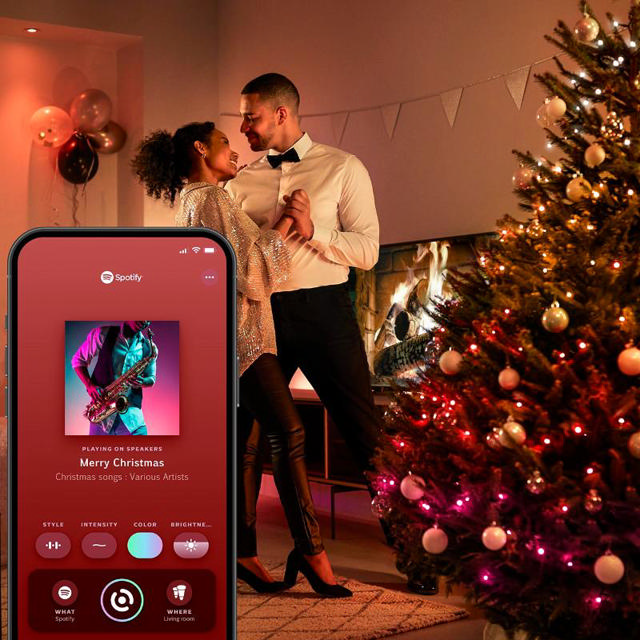 PHILIPS HUE FESTAVIA STRING LIGHTS 250LEDS EU