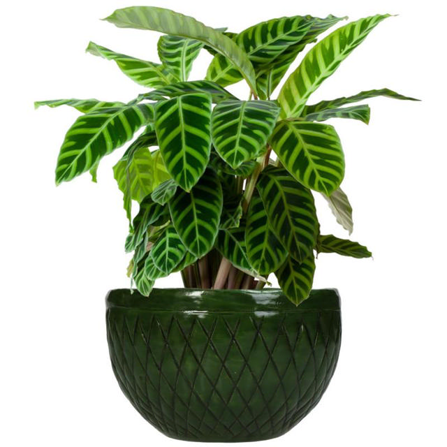 PLANTER ALUMINIUM 11.5X11.5X8CM - GREEN