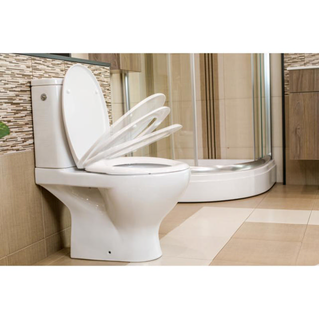 GEPARD TOILET SEAT SELECTA DURO SC QR