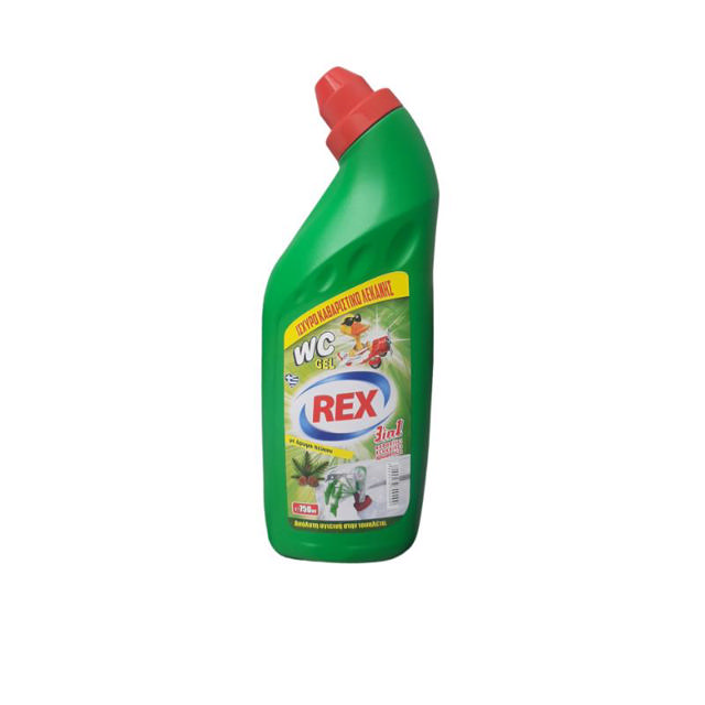 REX WC GEL PINE 750ML