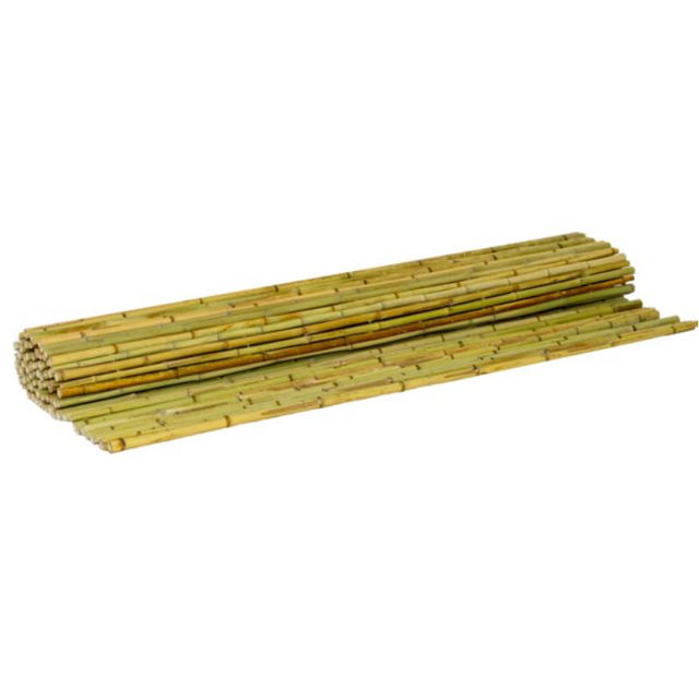 SHOWOOD REED FENCE 20-25MM 1X3M