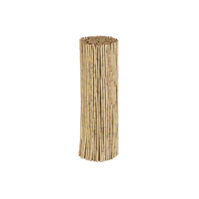 SHOWOOD REED FENCE 20-25MM 1X3M