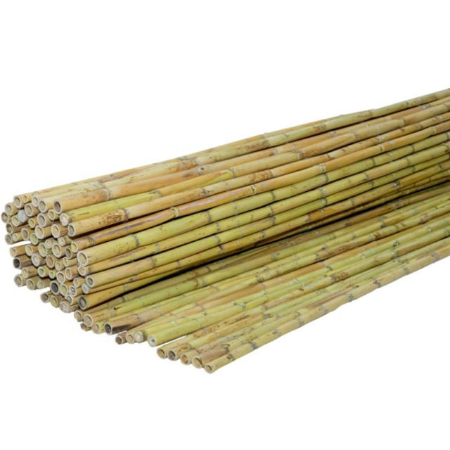 SHOWOOD REED FENCE 20-25MM 1X3M