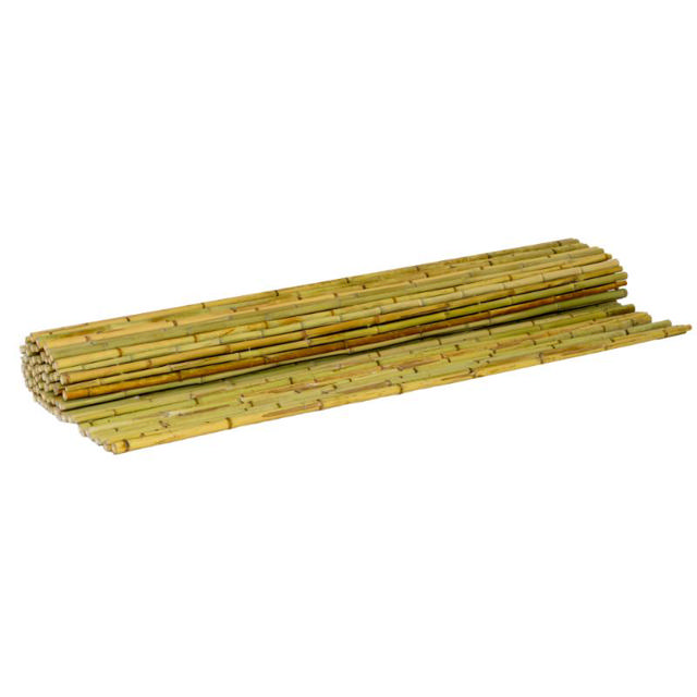 SHOWOOD REED FENCE 20-25MM 3X3M