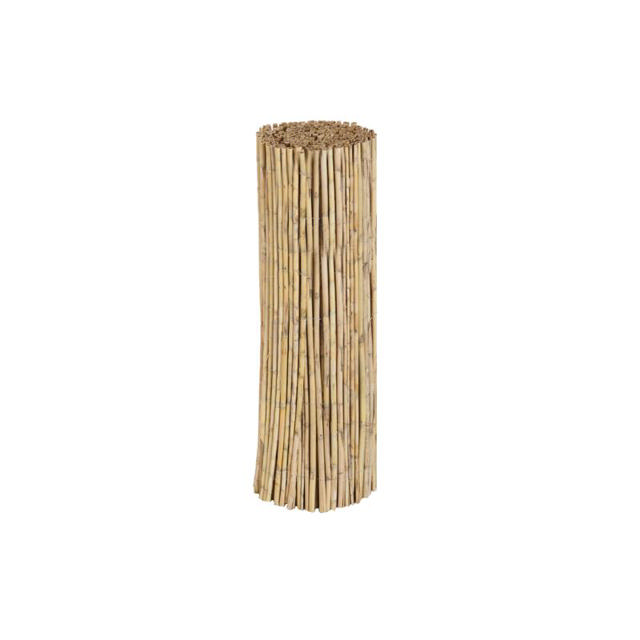 SHOWOOD REED FENCE 20-25MM 3X3M