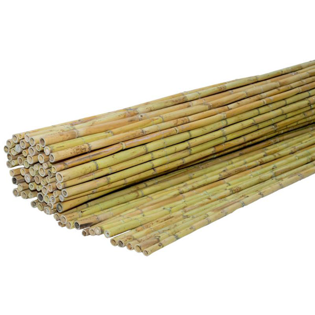 SHOWOOD REED FENCE 20-25MM 3X3M