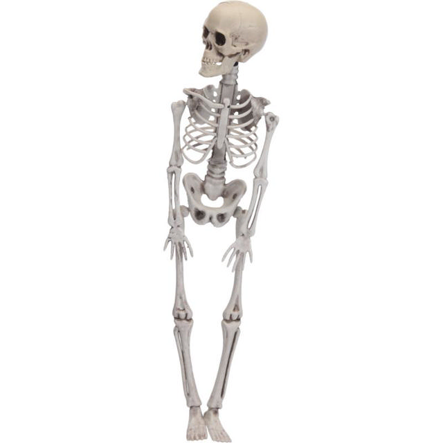 DECORATIVE HALLOWEEN SKELETON 42CM