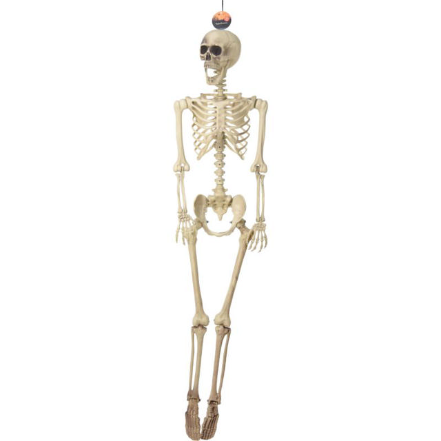 HALLOWEEN DECORATIVE SKELETON 165CM